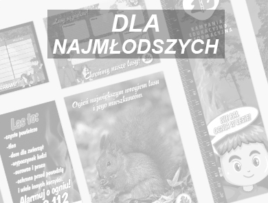 Gry planszowe | Agencja Fotograficzno-Wydawnicza Mazury w Olsztynie | Wydawnictwo, Drukarnia, Sklep